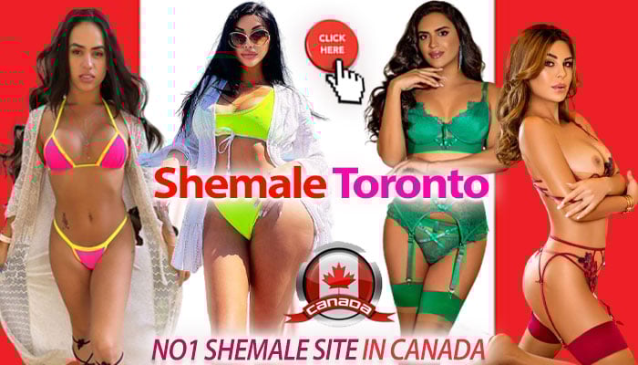 Toronto shemale escorts