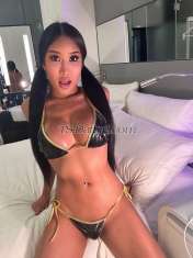 Shemale-memesexy14-2983622 