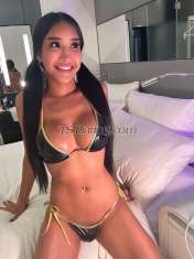 Shemale-memesexy14-2983775 