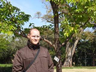 Male from 